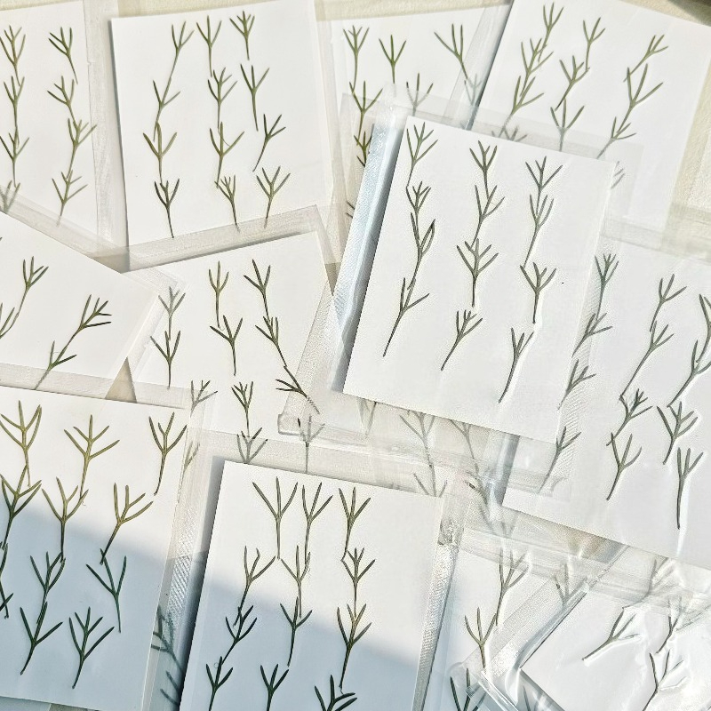 24 sztuki, prawdziwe prasowane – Resin Art Epoxy recenzja i cena